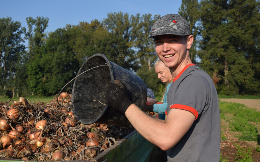 Andrea leert eine K&uuml;bel mit Zwiebeln auf einen Anh&auml;nger.