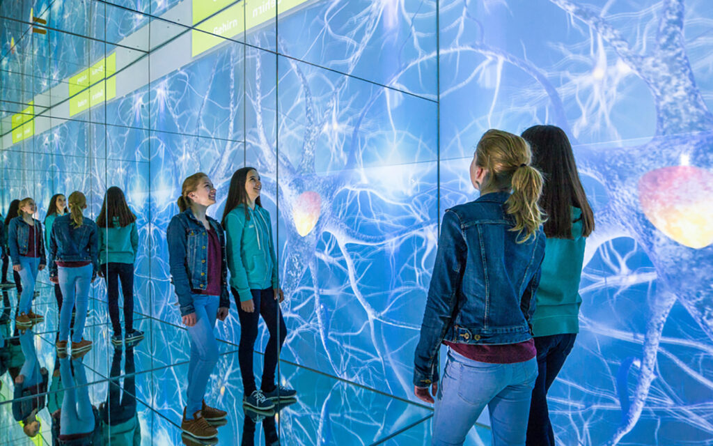 Jugendliche stehen in einem Ausstellungsraum, einer Art Spiegellabyrinth, der Inatura